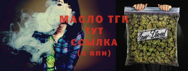 PSILOCYBIN Алагир