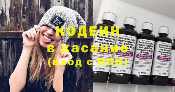 прущие грибы Алапаевск