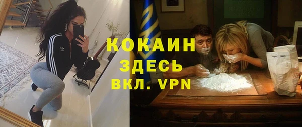PSILOCYBIN Алагир