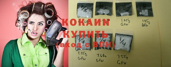 прущие грибы Алапаевск