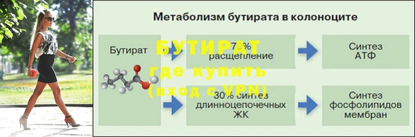 PSILOCYBIN Алагир