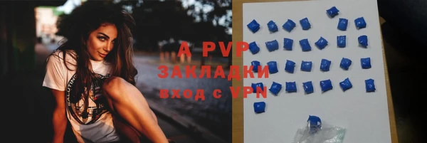 PSILOCYBIN Алагир