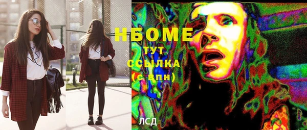 PSILOCYBIN Алагир