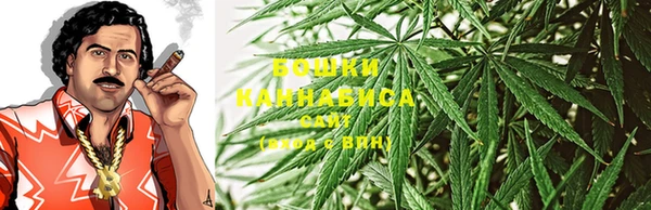 прущие грибы Алапаевск