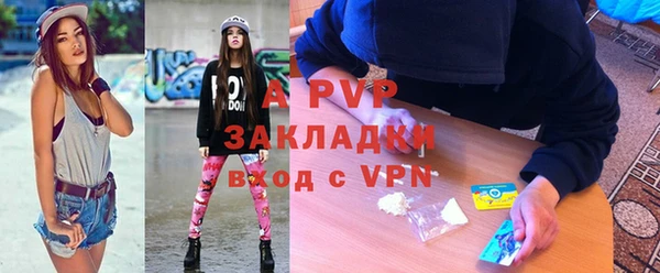 прущие грибы Алапаевск
