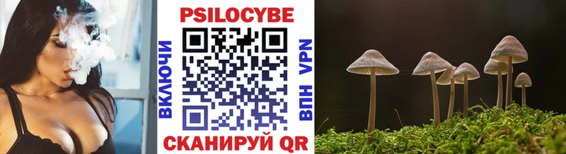 Галлюциногенные грибы мухоморы  Купить закладки  Петухово 
